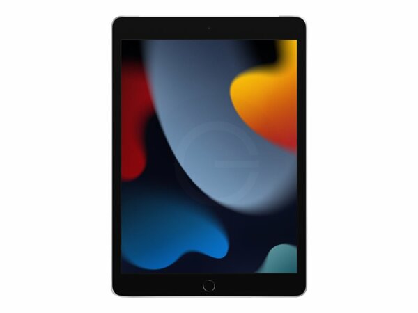 Apple iPad 10,2" Wi-Fi+LTE 256 GB silber