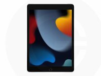 Apple iPad 10,2" Wi-Fi+LTE 256 GB silber
