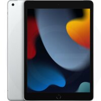 Apple iPad 10,2" Wi-Fi+LTE 256 GB silber