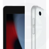 Apple iPad 10,2" Wi-Fi+LTE 256 GB silber